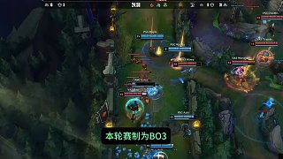 经纪团队